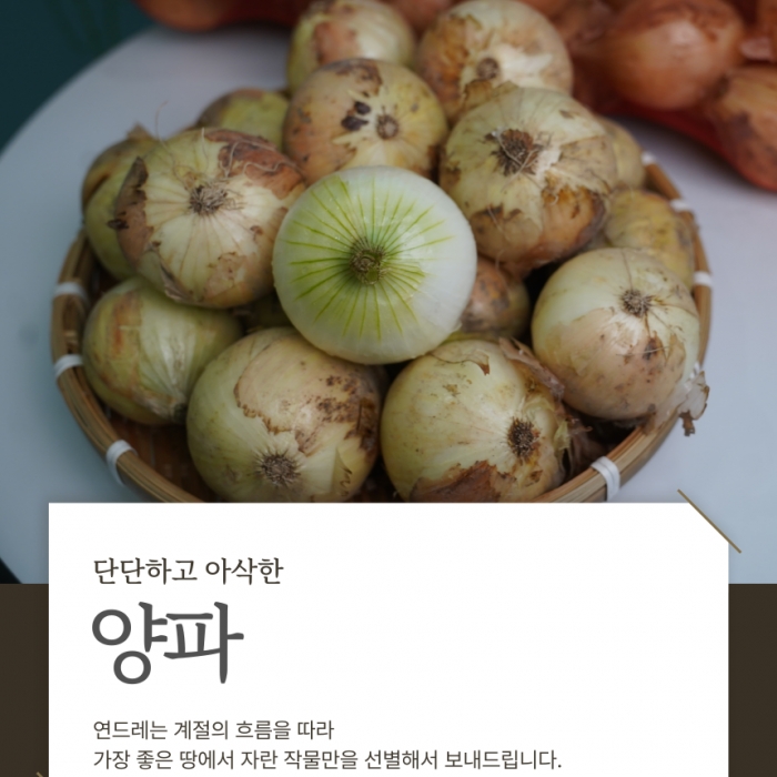국내산 햇양파 무안양파  3kg,5kg,10kg
