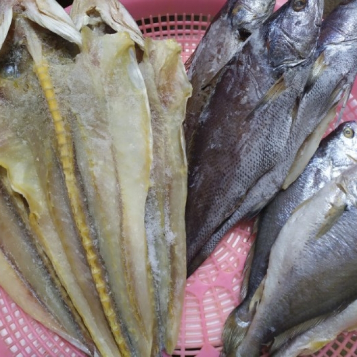 반건조 생선 모둠(모듬) 프리미엄 9미세트