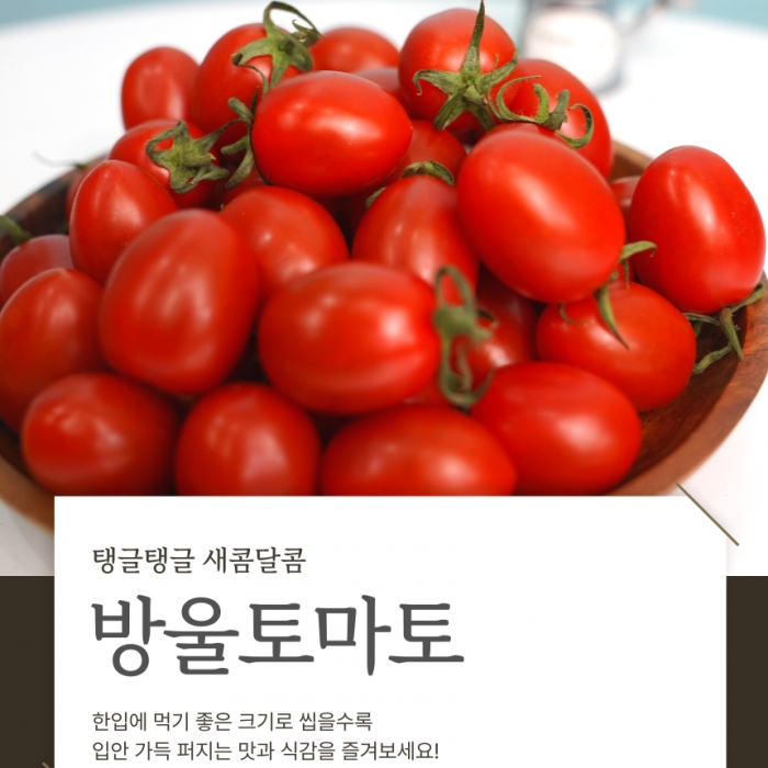 새콤달콤 방울토마토 5kg