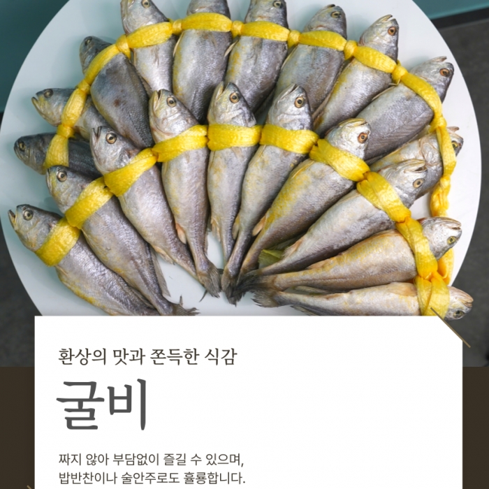 가성비 갑! 부세굴비 10미 20미