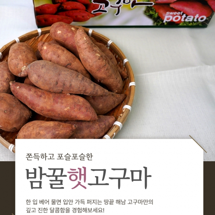 해남 자연의 단맛, 밤꿀햇고구마 특+상  10kg