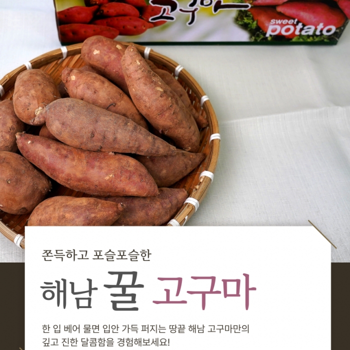 해남 자연의 단맛, 꿀고구마 특+상 5kg