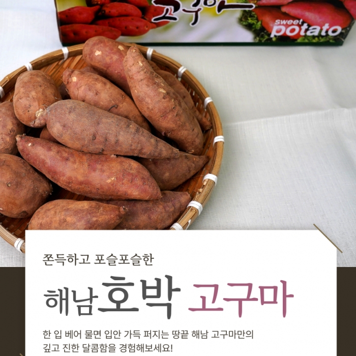 해남 자연의 단맛, 호박고구마 특+상 5kg