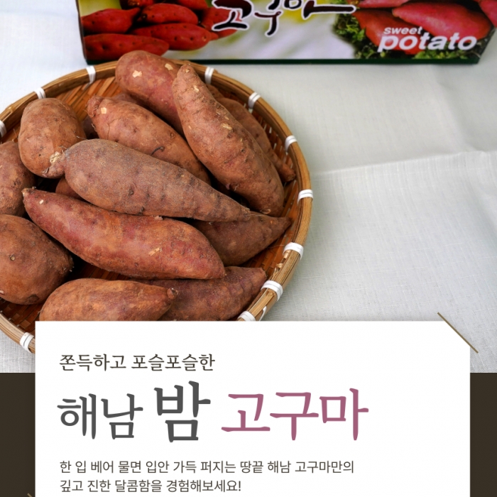 해남 자연의 단맛, 밤고구마 특+상 5kg
