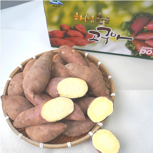 해남 자연의 단맛, 햇밤꿀고구마 특+상 2kg 5kg 10kg